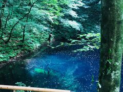 2018年夏　青森の旅1 （白神山地、青池など）