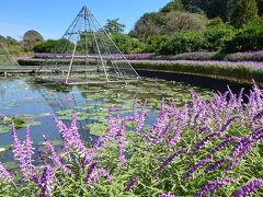 2023年10月　足利・佐野・羽生・熊谷旅行♪あしかがフラワーパーク♪温泉巡りの旅