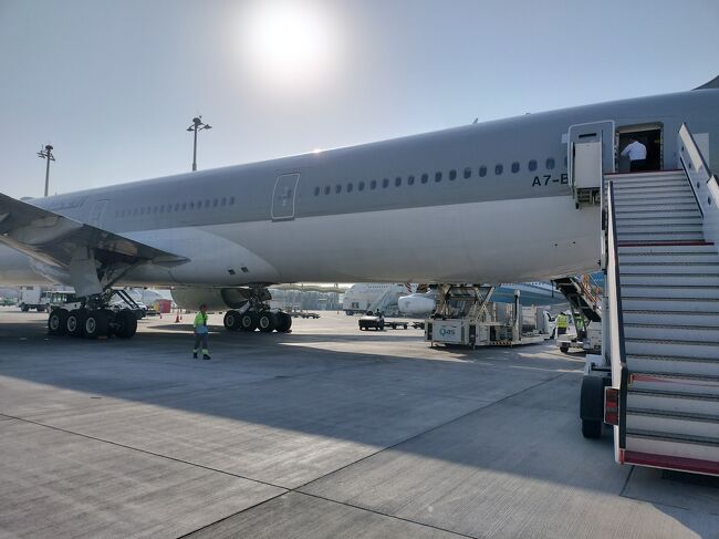 羽田空港→ドーハ→カイロ→アスワン→ルクソール→カイロ→アレキサンドリア→カイロ→ドーハ→羽田空港