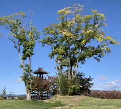 自然・動植物