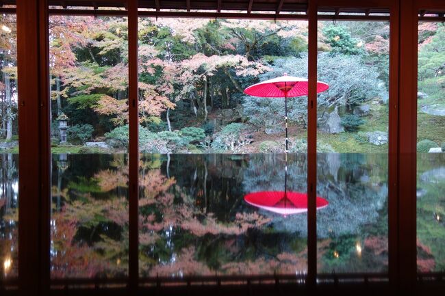 一泊二日の京都・滋賀紅葉巡り。<br />京都で東山と山科の紅葉を鑑賞した後、京阪に乗って<br />坂本比叡山口駅まで移動してきました。<br /><br />目的は、旧竹林院と日吉神社のライトアップ。<br />駅からは坂が続きますが、まず旧竹林院に向かいます。<br />夕刻になり、陽が落ちてきたタイミングでしたが、<br />観光客もあまりいない時間帯だったようで、<br />自分のペースで庭園鑑賞することが出来ました。