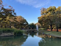秋の代々木公園さんぽ～参宮橋から代々木公園を通って渋谷へ