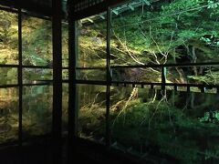 瑠璃光院の青もみじを眺めに京都へ