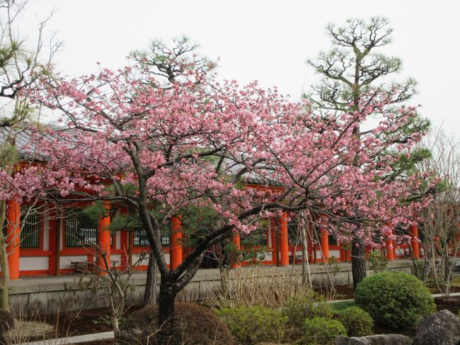 　梅見を計画しして４日間の京都旅行です。<br /><br />　１日目は１３時頃に友人２人と待ち合わせをして、一緒に伏見稲荷神社、石峰寺、三十三間堂をめぐり夕方に解散しました。<br />ランチも食べました。<br /><br />　<br /><br />　