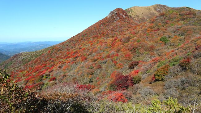 秋の紅葉登山へ！<br />阿蘇くじゅう国立公園に含まれる九州随一の人気の山、くじゅう連山。<br />5～6月のミヤマキリシマで有名ですが今年の紅葉は当たり年と噂のため、夜中2時半に「牧ノ戸峠駐車場」に到着。星空いっぱいの車中泊で朝まで過ごし、いざ出発！<br />【日程】<br />7:30 牧ノ戸登山口出発<br />↓<br />7:50 沓掛山（くつかけやま）1,503ｍ<br />↓<br />9:20 久住分かれ避難小屋<br />↓<br />10:30 久住山（くじゅうさん）｜日本百名山 1,786ｍ<br />↓<br />12:00 中岳（なかだけ）｜九州本土最高峰 1,791ｍ<br />↓<br />13:10 御池<br />↓<br />13:40 久住分かれ避難小屋<br />↓<br />15:10 牧ノ戸登山口<br />◆<br />海外旅好き夫婦、ここ最近は日本での登山にハマっています。7月にインドネシア、10月に北海道（富良野・旭岳・十勝岳）へ行ってきましたが（旅行記作成中）、久住の旅行記からスタートでーす(´▽｀*)/