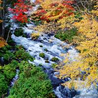 北海道　１泊２日　超弾丸で紅葉の阿寒摩周国立公園と帯広を楽しむ旅