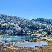 秋の志賀草津高原ルートをドライブ【横手山付近はすでに初冬の幻想的な絶景！】～紅葉の鬼押出し園まで