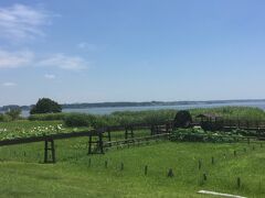 【2017.7 土浦･つくば】~霞ヶ浦総合公園/地図と測量の科学館~