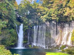 特急「ふじかわ」に乗って白糸ノ滝へ遊びに行こう！（・ω・）/♪