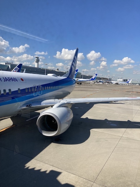 一泊の出張の夜と朝だけの空き時間で西郷隆盛さんの街を歩いてどれだけ回れるか?チャレンジしてみてました♪