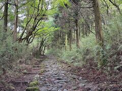 現代版・東海道中膝がくがく（自転車ポタリング）　四日目　三島宿から小田原宿