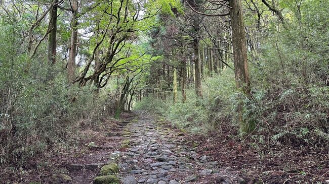 現代版・東海道中膝がくがく（自転車ポタリング）　四日目　三島宿から小田原宿