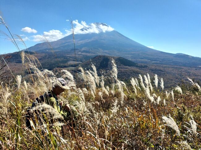 大室山と言えば伊豆の大室山が有名ですが、富士山の北西麓にもあります。<br />標高1,468mの大室山は富士山が持つ多くの側火山のひとつで、青木ヶ原樹海の南側に位置し、周辺には富士風穴など、風穴・洞穴が点在します。<br />今から1200年以上前の貞観６年（864年）に富士山で起きた「貞観の大噴火」で流れた大量の溶岩流は、大室山をよけながら流れ、森を焼き、麓の広大な湖「剗（せ）の海」の大半を埋め尽くしました。<br />残った部分が今の西湖と精進湖で、溶岩大地の上に新しく育った森が「青木ヶ原樹海」。<br />樹海は溶岩土壌のため、地を這うように根を張った樹木や、溶岩洞穴が多く見られ、大自然の神秘が体感できます。<br />大室山周辺に残った森林100選のブナ林も見どころですが、正式な登山道がないので、しっかり地図を読みながら登りました。<br />写真は大室山・南峰から見た雄大な富士山。