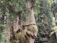 十津川村　玉置神社へ