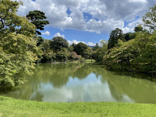 2018年の「とうとう桂離宮、見てきました！《京都アートの旅》」がとてもよかったので、2019年に《京都アートの旅》第2弾を計画しました。桂離宮を見たのですから、こんどは京都御所、仙洞御所、修学院離宮でしょ！！<br /><br />ところが、出発2日前に連れ合いが発熱、やむなく旅行断念となってしまいました。<br /><br />その後、リベンジを試みるも、コロナ禍でなかなか実現できず、4年ぶりにやっと念願がかなった、というわけです。<br /><br />タイトルは《京都アートの旅》なのに、なぜか初日はなんばグランド花月です。これはお久しぶりの関西旅行ということで、ごほうびのオマケです。<br /><br />旅程は下記の通りです。<br />（　）は交通手段、●は見学、※は食事、『』はお目当、☆は現在の旅行記、を表します。<br /><br /><br /><br />1日目<br />品川ー（新幹線）→新大阪ー（地下鉄御堂筋線）→なんば<br />●なんばグランド花月『ミルクボーイ、文珍』<br />※「かに道楽」でランチ<br />なんばー（地下鉄御堂筋線）→新大阪ー（新幹線）→京都<br />新阪急ホテルに2泊<br /><br />2日目<br />京都ー（地下鉄烏丸線）→烏丸今出川<br />　●京都御所<br />☆●仙洞御所<br />☆※「寺町よしくら」でランチ<br />☆●相国寺承天閣美術館『若冲と応挙』<br />烏丸今出川ー（地下鉄烏丸線）→京都<br />ホテルで休憩<br />京都ー（バス）→河原町松原<br />☆※「ビストロカワノ」で夕食<br />河原町松原ー（バス）→京都<br /><br />3日目<br />京都ー（徒歩）→七条ー（京阪線）→出町柳ー（叡山電車）→修学院<br />●修学院離宮<br />●曼殊院『桂離宮に通じるデザイン』<br />●圓光寺『活字』<br />「穂野出」で『雲母漬（きららづけ）』を買う<br />※「一乗寺なかたに」でランチ『緑茶ティラミス』<br />●恵文社一乗寺店<br />赤石ー（京阪バス）→京都<br />ホテルで荷物受け取り<br />京都ー（新幹線）→品川<br />※「はしたて」の夕食はキャンセル、新幹線時間を早めて帰宅後夕食<br /><br />