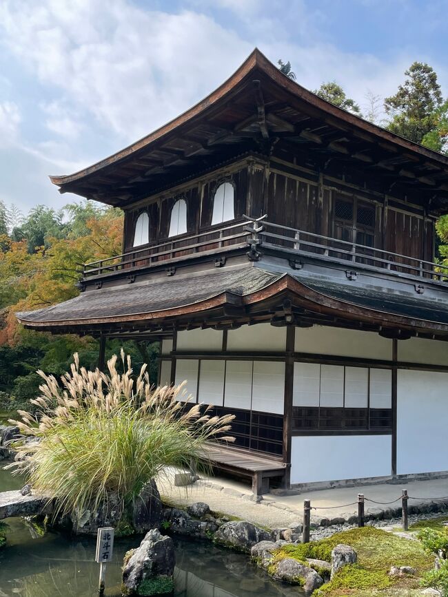 先月、京都旅行をしたばかりなのですが、ふたたび京都に行き、建仁寺を訪ねることにしました。<br /><br />その理由は、私自身の、「死ぬまでにしたい to-do list」の中に、<br /><br />次の３つのお気に入り日本の美術作品を見る、というものがあるからです。<br />　1.『俵屋宗達の松島図屏風』（ワシントンD.C.フリーア美術館所蔵）<br />　2.『葛蛇玉の雪中松に兎・梅に鴉図屏風』（プライスコレクション）<br />　3.『尾形光琳の群鶴図屏風』（ワシントンD.C.フリーア美術館所蔵）<br /><br />2.は2013年に東北で見ることができました。2011年の東日本大震災で被災した東北の人々を勇気づけたい、と、アメリカ人コレクター、ジョー・プライスさんが被災地で公開したのです。<br /><br />1.と3.は、ワシントンD.C.フリーア美術館にあるのですが、フリーアさんの遺言で門外不出とされています。なのでワシントンで見るしかないのですが、昨今の状況を考えると現地に見に行くのは難しいものがあります。というわけで、あきらめかけていたところ・・・<br /><br />建仁寺で『スミソニアン国立アジア美術館の名宝　帰ってきた日本の文化財・　綴りプロジェクト作品展（高精細複製品）』という展覧会が開催されることがわかりました。<br />その展覧会で、なんと、1.と3.が展示されるのです。複製品ではありますが。<br /><br />これは、見に行くしかありません！<br /><br />ということで、下記の予定を立てました。<br /><br />（　）は交通手段、●は見学、※は食事、『』はお目当、☆はこの旅行記、を表します。<br /><br />1日目<br />新横浜ー（新幹線）→京都ー（バス）→東山安井<br />●建仁寺『俵屋宗達の松島図屏風』『尾形光琳の群鶴図屏風』<br />※貴匠桜でランチ<br />河原町松原ー（バス）→京都<br />新阪急ホテルチェックイン<br />●龍谷ミュージアム『東北のみほとけ』<br />●美術館えき（伊勢丹７階）『芭蕉布　平良敏子と喜如嘉の手仕事』<br />※はしたてで夕食<br /><br />☆2日目<br />ホテルー（タクシー）→銀閣寺<br />●銀閣寺『東求堂同仁斎特別公開』<br />●永観堂『みかえり阿弥陀』<br />●哲学の小径<br />※八千代で湯豆腐ランチ<br />●京セラ美術館『竹内栖鳳展』<br />東山ー（地下鉄）→烏丸御池ー（地下鉄）→京都<br />※弁当を買って、新幹線車内で飲食<br />京都ー（新幹線）→新横浜<br /><br /><br /><br /><br /><br /><br /><br />
