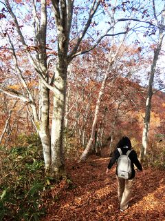 紅葉を見たくて北信地方へ。その２　斑尾山から大明神岳に登ってみました。