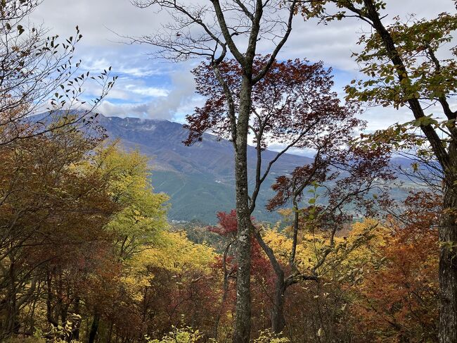 紅葉のシーズンに日光へ日帰りハイキングでやってきました。<br />東武日光駅～神ノ主山～鳴虫山～合峰～独標～東武日光駅<br />というコースで約６時間かかりました。登りも下りも急な坂が多く、初心者コースばかり登っている身には少し怖かったですが、達成感あるハイキングとなりました。<br />帰りには、憾満ヶ淵で水墨画のような景色が見えたり、日光の観光スポットのひとつ神橋を眺めたりして、観光も楽しめました。