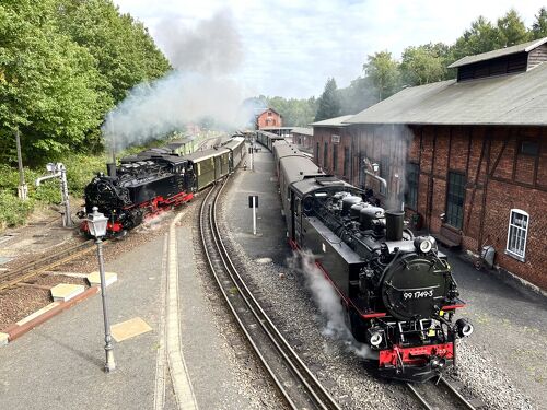 ドイツ東部の保存鉄道を巡る・17日の旅 ①出発にあたって