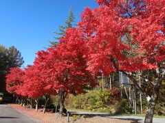 紅葉の清里2023