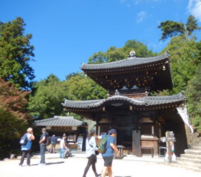 長年の憧れ宮島に初めて行きました。島内で一泊して、弥山にも登りました。ついでに、倉敷にも行きました。どちらも素晴らしいところでした。