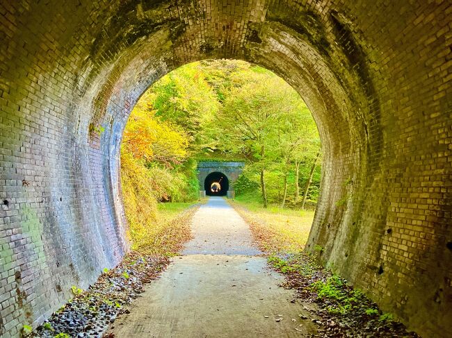 群馬県安中市にある、旧信越線の廃線跡が遊歩道として整備された｢アプトの道｣を、日帰りで散策しました。1963年（昭和38年）に廃止された廃線跡で、片道で7km弱くらいです。<br /><br />この遊歩道は、明治時代にできた「めがね橋」や「丸山変電所」などの古い施設や廃設備を見学できることに加え、インスタ映えさえしそうな廃トンネルのレトロな雰囲気、紅葉の絶景など、本当に歩き応えのあるものでした。<br /><br />●紅葉が好き●廃墟が好き●鉄道が好き●廃線跡が好き●トレッキングが好き●映えスポットが好き・・・このどれか一つでも当てはまれば楽しめると思います。実際、見た感じそれぞれの客層？を見かけました。すごく幅広い観光客の客層にアピールできるのだと思いますが、（平日だったこともあるのか）あまり人が多くなく、快適に訪問できました。