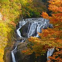 すっかり、もう、秋　紅葉に包まれる袋田の滝