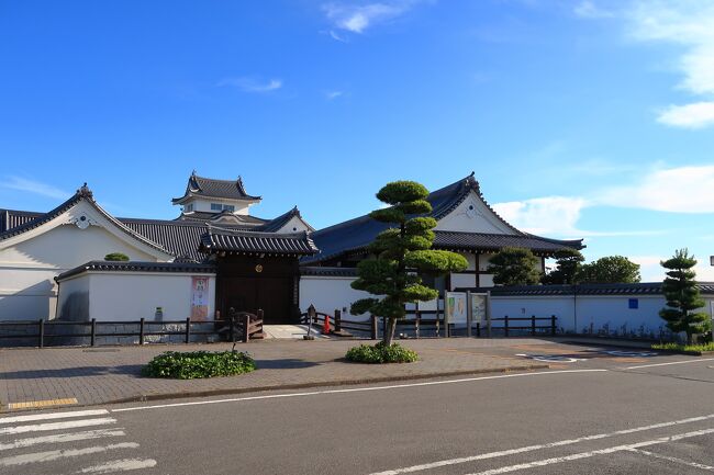 城と富士山が見えるという関宿城跡へ行きましたが。<br />天候が悪く富士山は見えませんでした。<br />建物は城を模した博物館のようです。<br />朝早かったので、何も開いてませんでした。<br />無料駐車場がありました。<br />