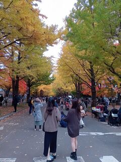 紅葉がきれい。ハロウィンのイベントも。秋の北海道散策。