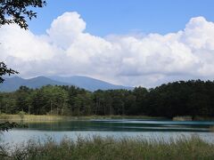 五色沼自然探勝路を散策しました