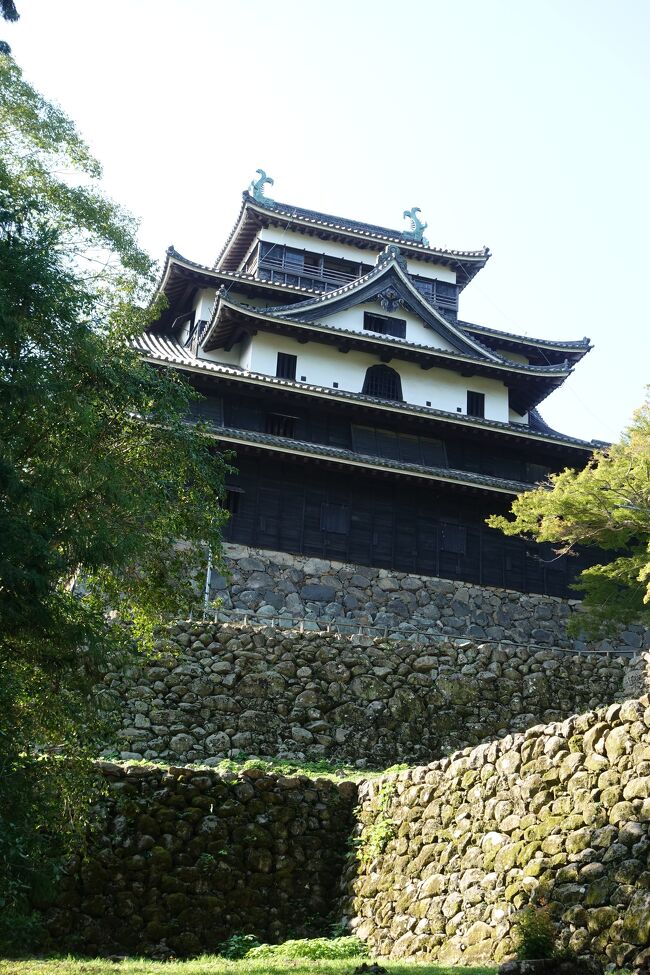 初・島根！特別企画 光の祭典「松江水燈路」と 松江城夜間特別登閣 ２日間〈 松江にて自由行動 〉