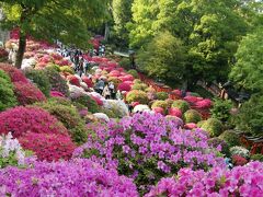 つつじ祭　２　湯島聖堂～根津神社