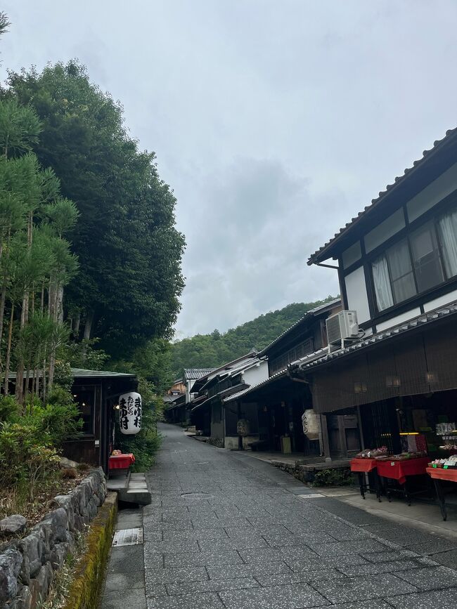 JR東海のずらし旅ツアーを利用して京都へ一人旅しました。<br />今回のざっくりとしたテーマは、平家物語に登場する女性たちの軌跡を追うこと<br />それから紫陽花と青紅葉、苔庭を見に行きます。