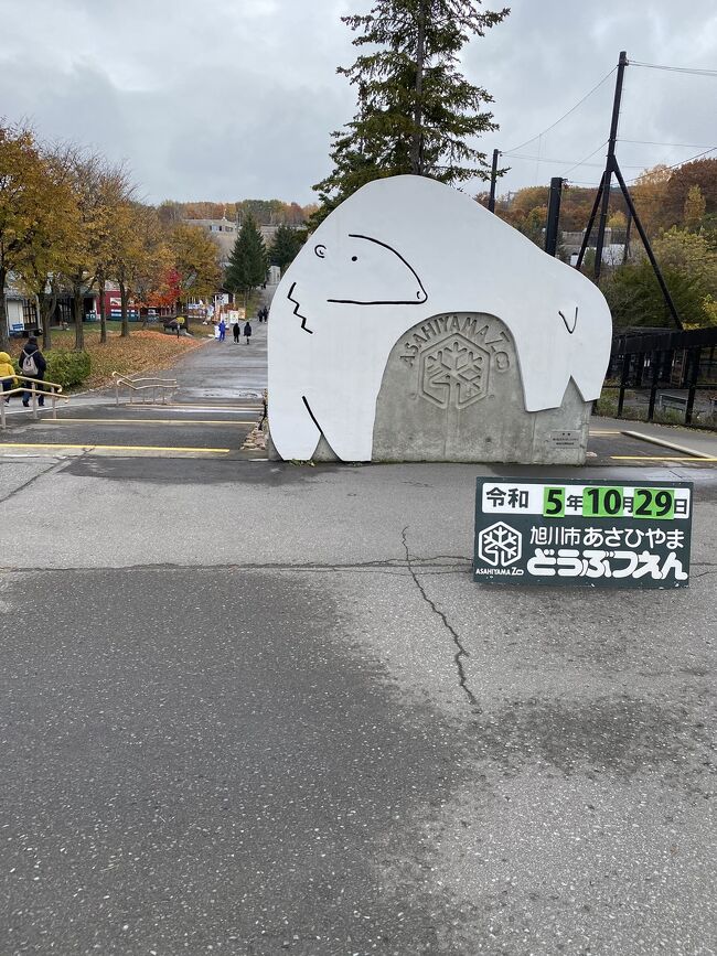 旭山動物園へ行きました。<br />休日は早めにバス停に並んだ方が良いと思います。<br />開園は9時半ですが並んでいました。<br />園内は広いので、密になることはありません。<br />再入園できないので注意してください。<br /><br />動物園の後はまた旭川ラーメンを食べに行きました。<br /><br />バスで旭川空港に行きました。<br />帰りはJALに搭乗します。<br />