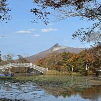 八雲温泉おぼこ荘　知内温泉旅館　清龍園　TOYA乃の風リゾート　びっくり雪虫！後編