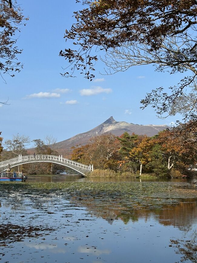 八雲温泉おぼこ荘　知内温泉旅館　清龍園　TOYA乃の風リゾート　びっくり雪虫！後編