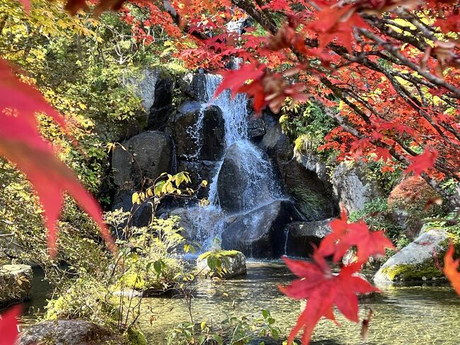 古峯神社と隣り合う古峰園（こほうえん）は、古峯神社の神苑として整備され、昭和52年（1977年）に竣工しました。<br />約30,000坪（東京ドームの2倍超）の日本庭園で、大芦川の清流を引き、広大な山々を借景としています。<br />昭和の作庭家・岩城亘太郎氏の代表作の一つです。<br />紅葉の名所として知られ、標高700mのこの辺りでは例年11月上旬が見頃となっていますが、今年は気温が高いため、1週間程度遅れていました。私の訪問は少し早過ぎました。