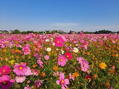 伊奈町制施行記念公園