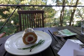 八幡山公園で無限すべり台＆山の中のテラスがあるカフェで一休み【親子で東京往復記2023年10月編その３】