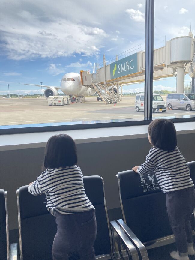 子どもたちも2歳になり、車の移動にも慣れてきたので、そろそろ飛行機での旅行も連れて行きたいと考えていました。ただ、気圧変化等々が大丈夫なのかという問題もあり、いきなり長時間のフライトは難しいので、まずは慣らしということで、自宅から近い成田から日帰りで行けるセントレアを往復してきました。<br />この路線は常に国際線機材での運行で、sky suiteのB788で運行されていることもあり(その他B738、B767)、classjで利用することができるので、もちろん往復ともclassjで。<br />しかし、ここ最近よく風邪を引くので、体調不良でキャンセルになるのはどうしても避けたく、10月初旬に感染したと思われるコロナから回復したタイミングで2週間後のフライトを予約。←立て続けに風邪は引かないだろうという想定<br /><br />【フライト】<br />2023年10月29日 JL3083 NRT10:25-NGO11:35 B788(JA837J) 07D<br />2023年10月29日 JL3084 NGO14:35-NRT15:50 B788(JA837J) 08A<br /><br />【旅程】<br />10月29日(日)　自宅～成田～セントレア～成田～自宅