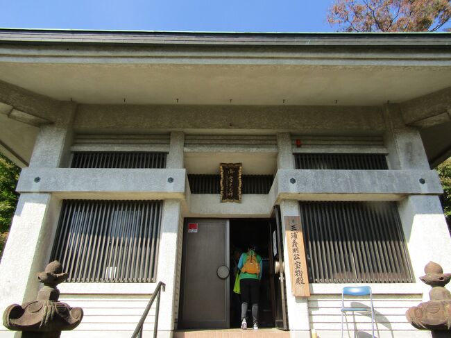 　満昌寺の裏山にある御霊神社の社殿には「三浦義明公宝物殿」の表札が掛かっている。<br />　御霊神社は桓武平氏の平良文を祖とする平家五代が祭られた神社である。三浦氏も平良文を祖とする一族であり、三浦義明はこうして御霊神社に祀られている。<br />　鎌倉にある通称「鎌倉権五郎神社」は有名である。<br />　後世、齢89にして頼朝の挙兵に呼応し源氏の再興に一命を捧げた義明の行為は源氏武士の鑑とされた。<br />　義明の死後、源頼朝が追善供養のため堂宇建立を命じて創始されたのが満昌寺であり、義明はその境内の御霊明神社に主神として祀られているのだ。<br />　また、裏には廟所（墓）が設けられている。<br />　中には本殿の中に三浦義明公の木造座像が祀られている。座像とは言いながら、像高が90cmもあるのだという。確かに、見た目にも大きな座像である。<br />　この座像は義明公が70歳の頃の姿ではないかという。生前は189cmもある大男であったと言われている。平安時代の人が長生きし、合戦で89歳で討ち死にしたというのであるから、強靭な肉体の持ち主であったのであろう。それを感じさせてくれる座像である。<br />　なお、鎌倉時代に入り、13世紀にもなるとこうした等身大の像が多く見られるようになる。例えば、乗蓮寺（横浜市南区井土ヶ谷上町）に残る北条政子の等身大の座像（長二尺五寸）は男女の差があるとは言え、義明公の座像の2/3程度である。この義明公座像は鎌倉時代後期の造立と考えられており、晩年の姿を写したと寺伝されている政子座像よりも作像年代が下がる。それでも国指定重要文化財である。それにしても政子座像は国宝どころか国指定重要文化財にすらなってはいない。<br />（表紙写真は御霊神社社殿）