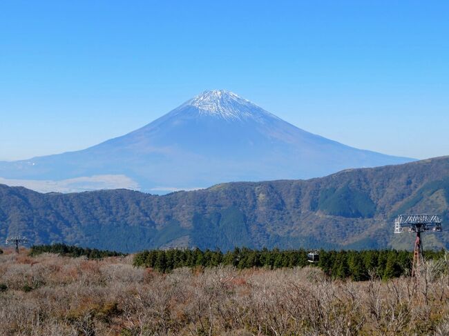 　箱根フリーパス（土日祝日用、小田原起点）を購入し、日帰りで箱根エリアを攻めてみました(^^)<br /><br />　前年の初夏にも同じことを敢行していますが、季節が違うし、観光スポットを変えれば新たな発見もできるだろうと思い、二度目の購入です(^^)<br /><br />　利用可能な交通手段が同じだから、結果として行程も前回と似たような内容になってしまったけど、天気が良かったから絶景度は前回比３割増しの写真をお届けできると思いますw<br /><br />　箱根エリアの紅葉見頃に間に合うのか？わかりませんが、閲覧頂きました皆様の御参考になれば幸いですm(__)m<br /><br />《利用交通機関》<br />新横浜→小田原（新幹線、課金）<br />小田原→仙石高原（箱根登山バス、フリー）<br />仙石高原→桃源台（箱根登山バス、フリー）<br />桃源台→箱根園（箱根登山バス、フリー）<br />箱根園&#8596;駒ケ岳山頂（駒ヶ岳ロープウェー、課金）<br />箱根園&#8596;九頭龍神社（レンタサイクル、課金）<br />箱根園→桃源台（箱根登山バス、フリー）<br />桃源台→大涌谷（箱根ロープウェイ、フリー）<br />大涌谷→早雲山（箱根ロープウェイ、フリー）<br />早雲山→公園上（箱根登山ケーブルカー、フリー）<br />強羅→塔ノ沢（箱根登山電車、フリー）<br />出山→上塔ノ沢（伊豆箱根バス、課金）<br />箱根湯本→風祭（小田急、フリー）<br />風祭→小田原（小田急、フリー）<br />小田原→東京（新幹線、課金）<br /><br />　フリーパス料金分を回収できたかどうかわかりませんが、損得勘定をすると面白くなくなるから、今回も敢えて曖昧にしておきますw<br /><br /><br /><br /><br /><br />