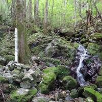 四国満喫旅★四万十川の源流を見てみたいを叶えます（１日目）