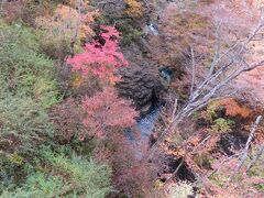 秋の群馬！伊賀野の花畑とロックハート城、吾妻渓谷。