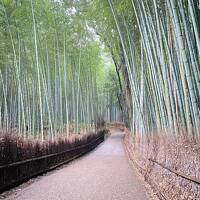 ２０２２京都・大阪３日間①