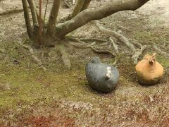 奈良国立博物館・聖地　南山城