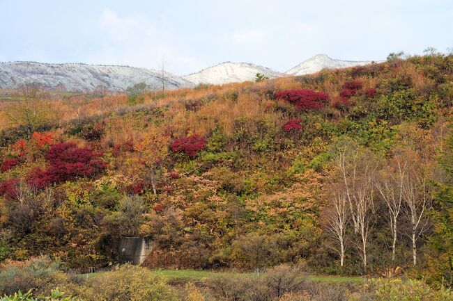 秋の紅葉を撮影するために東北を訪問した旅行記を投稿します。<br />八幡平での撮影会があり写真仲間と10/19の朝１０時に盛岡駅集合のため、神戸から一日早く東北へ移動しました。仙台へは何度か来たことがありますが市内観光をしたことが無いので10/18は仙台へ前乗りし、瑞宝殿、仙台城跡、大崎八幡宮、国分町、定禅寺通りなどを観光しました。<br />10/19～21は2泊3日で八幡平の紅葉を撮影し、10/21は盛岡でもう1泊し10/22の午前中は盛岡の市内観光で、啄木新婚の家、光源舎、岩手銀行赤煉瓦館、桜山神社、盛岡城址を観光しました。帰りは花巻空港からFDA（富士ドリームエア）で神戸空港へ戻りました。<br />