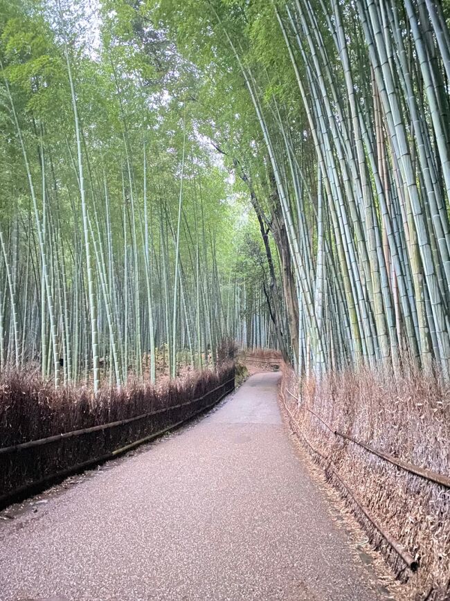 2022年12月に行った京都・大阪3日間の旅行記です。<br /><br />1日目<br />羽田空港→伊丹空港<br />嵐山<br /><br />2日目<br />京都→大阪<br />八坂神社<br />清水寺<br />伏見稲荷大社<br />錦市場<br />中之島<br /><br />3日目<br />大阪城<br />通天閣<br />道頓堀<br />伊丹空港→羽田空港<br /><br />この旅行記①は1日目です。