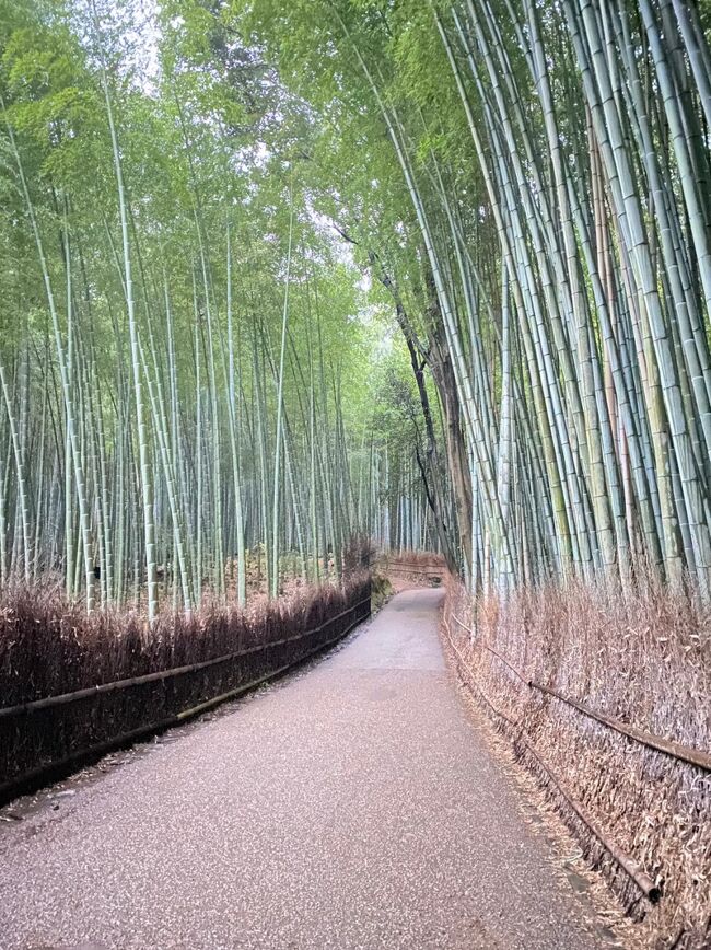 ２０２２年１２月に行った京都・大阪３日間の旅行記です。<br /><br />１日目<br />羽田空港→伊丹空港<br />嵐山<br /><br />２日目<br />京都→大阪<br />八坂神社<br />清水寺<br />伏見稲荷大社<br />錦市場<br />中之島<br /><br />３日目<br />大阪城<br />通天閣<br />道頓堀<br />伊丹空港→羽田空港<br /><br />この旅行記①は１日目です。