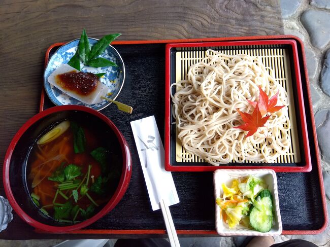 数えること18回目。年一ですがここの景色を見ながら蕎麦を食うのが楽しくて通いました。いつもは冷たいザルですが今回は友人がしゃもそばを選んだのでつい2つと言ってしまった。でも、美味しく頂きました。さぁ帰ろうかでバイクに戻ったらポツンと雨が。山道を下り国道118号に出るともうダメ合羽を着て。いやー凄い雨になりました。道の駅常陸大宮で合羽を脱いで高速に乗ると渋滞に事故があり散々でした。